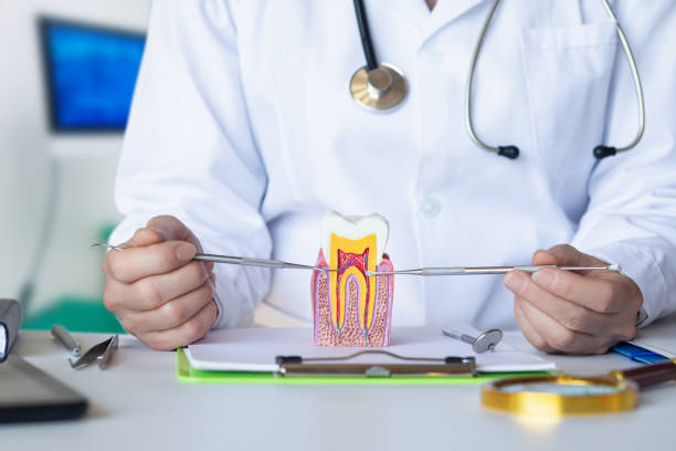 Best Dentist for Tooth Abscess  in Alva, FL